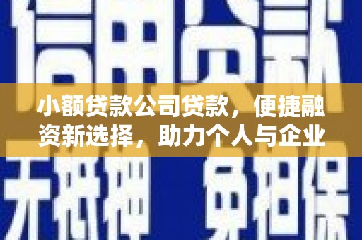 沙坡头小额贷款公司贷款，便捷融资新选择，助力个人与企业成长