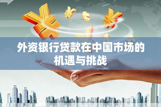 沙坡头外资银行贷款在中国市场的机遇与挑战