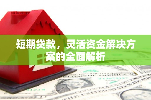 沙坡头短期贷款，灵活资金解决方案的全面解析