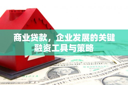 沙坡头商业贷款，企业发展的关键融资工具与策略