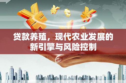 沙坡头贷款养殖，现代农业发展的新引擎与风险控制
