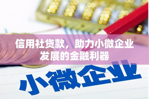 沙坡头信用社贷款，助力小微企业发展的金融利器