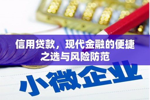 沙坡头信用贷款，现代金融的便捷之选与风险防范