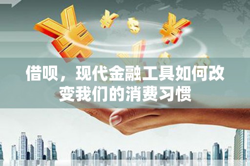 沙坡头借呗，现代金融工具如何改变我们的消费习惯