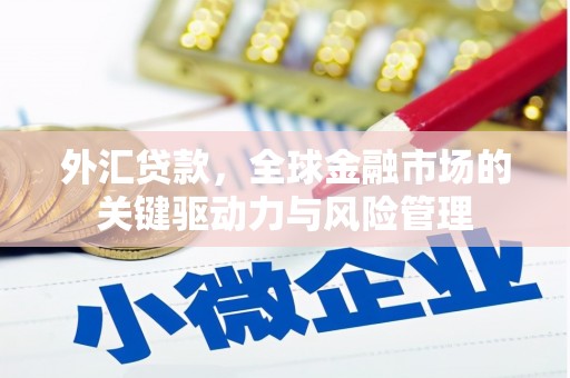 沙坡头外汇贷款，全球金融市场的关键驱动力与风险管理
