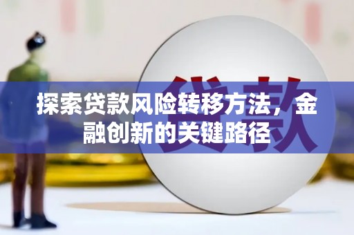 沙坡头探索贷款风险转移方法，金融创新的关键路径