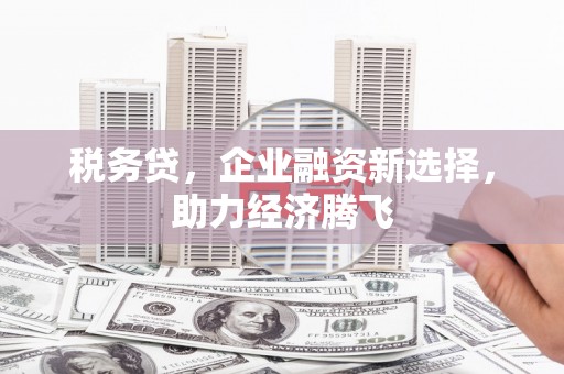 沙坡头税务贷，企业融资新选择，助力经济腾飞