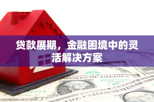 沙坡头贷款展期，金融困境中的灵活解决方案