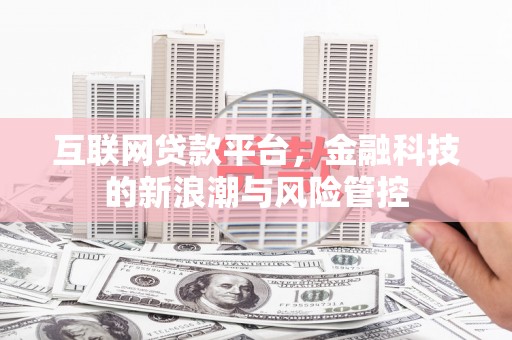 沙坡头互联网贷款平台，金融科技的新浪潮与风险管控