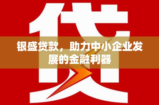 沙坡头银盛贷款，助力中小企业发展的金融利器