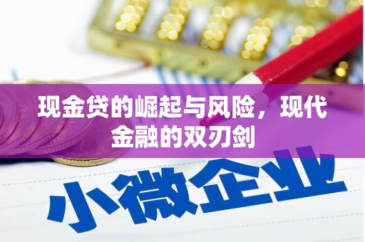 沙坡头现金贷的崛起与风险，现代金融的双刃剑