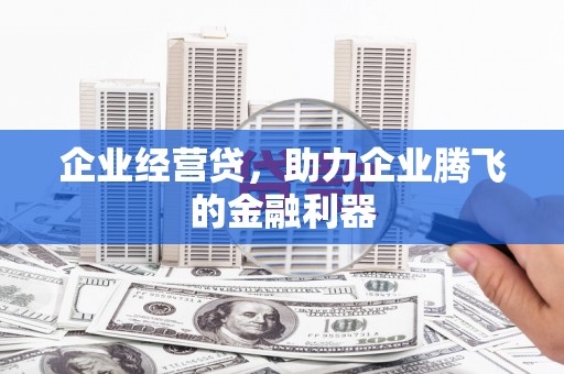 沙坡头企业经营贷，助力企业腾飞的金融利器