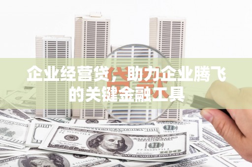 沙坡头企业经营贷，助力企业腾飞的关键金融工具