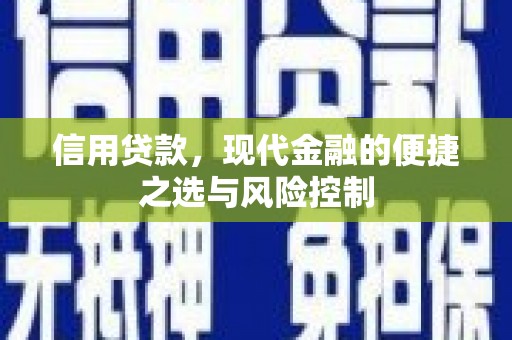 沙坡头信用贷款，现代金融的便捷之选与风险控制