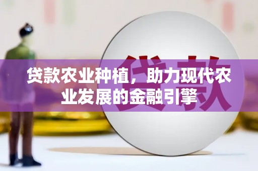 沙坡头贷款农业种植，助力现代农业发展的金融引擎
