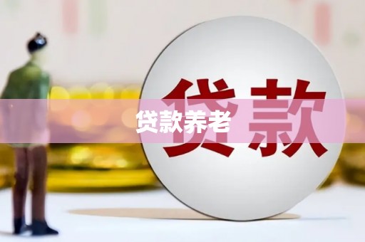 沙坡头贷款养老
