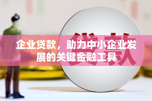 沙坡头企业贷款，助力中小企业发展的关键金融工具