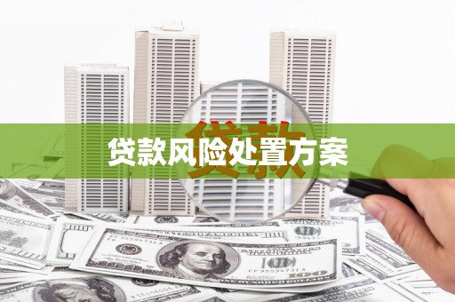 沙坡头贷款风险处置方案