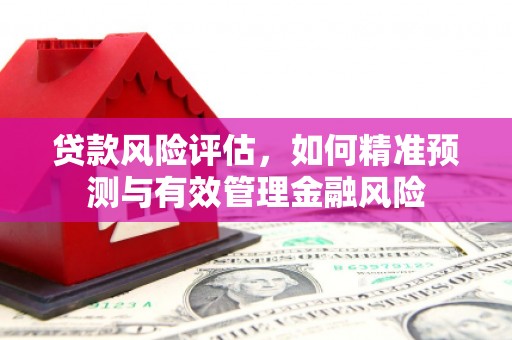 沙坡头贷款风险评估，如何精准预测与有效管理金融风险