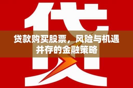 沙坡头贷款购买股票，风险与机遇并存的金融策略