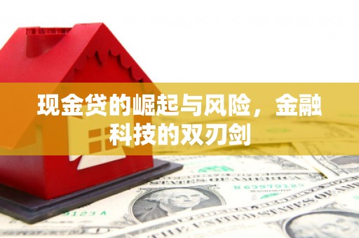 沙坡头现金贷的崛起与风险，金融科技的双刃剑