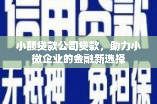 沙坡头小额贷款公司贷款，助力小微企业的金融新选择