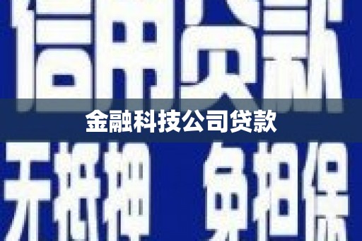 沙坡头金融科技公司贷款