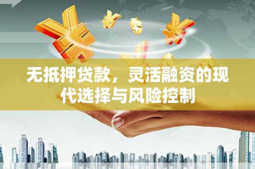 沙坡头无抵押贷款，灵活融资的现代选择与风险控制