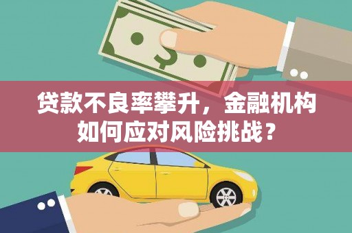 沙坡头贷款不良率攀升，金融机构如何应对风险挑战？