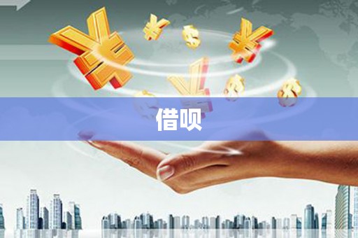 沙坡头借呗