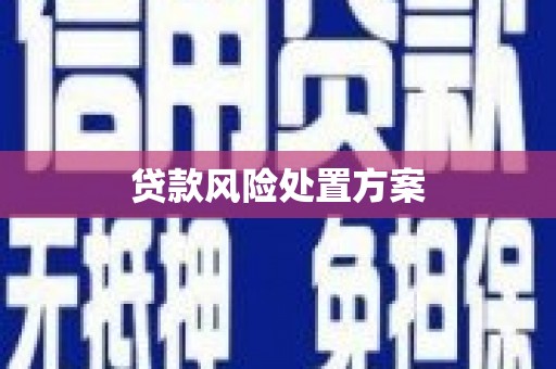 沙坡头贷款风险处置方案