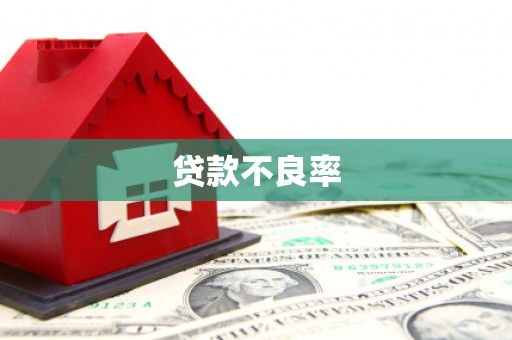 沙坡头贷款不良率