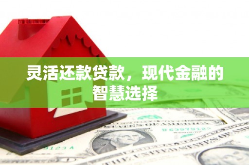 沙坡头灵活还款贷款，现代金融的智慧选择