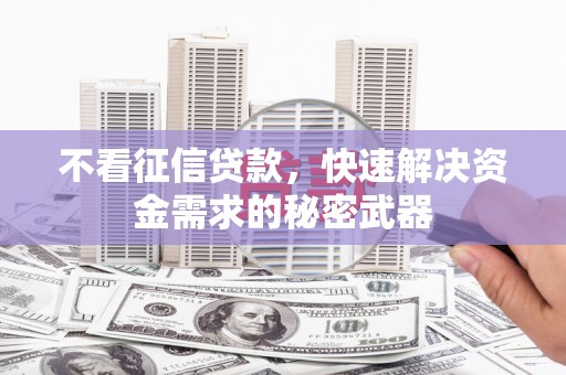 沙坡头不看征信贷款，快速解决资金需求的秘密武器
