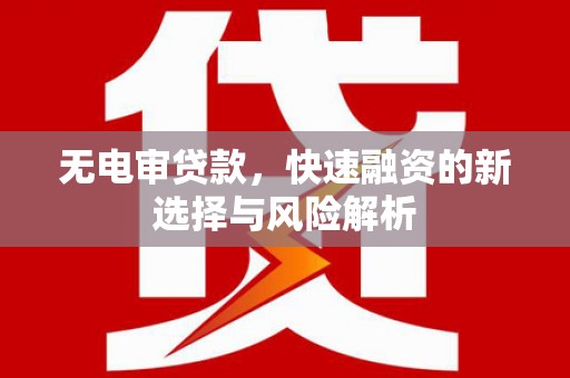 沙坡头无电审贷款，快速融资的新选择与风险解析