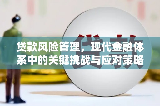 沙坡头贷款风险管理，现代金融体系中的关键挑战与应对策略