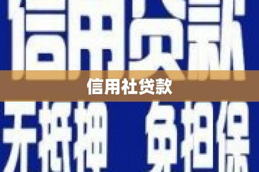 沙坡头信用社贷款