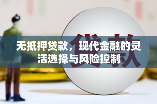 沙坡头无抵押贷款，现代金融的灵活选择与风险控制