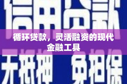 沙坡头循环贷款，灵活融资的现代金融工具