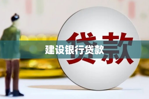 沙坡头建设银行贷款