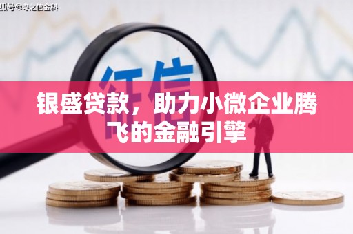 沙坡头银盛贷款，助力小微企业腾飞的金融引擎
