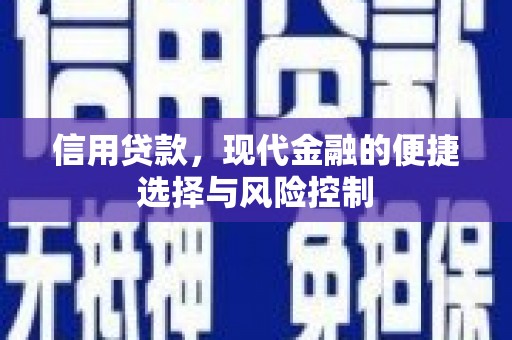 沙坡头信用贷款，现代金融的便捷选择与风险控制