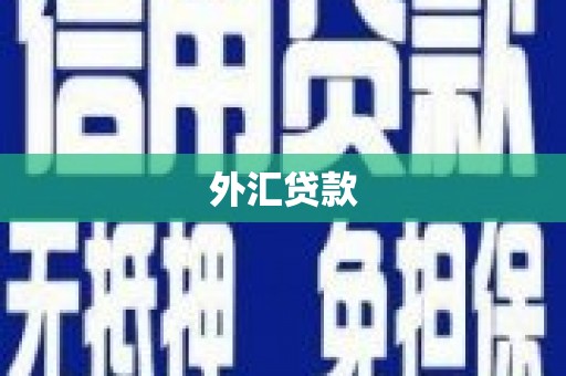 沙坡头外汇贷款