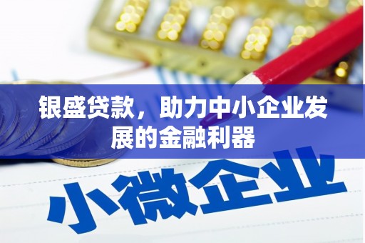 沙坡头银盛贷款，助力中小企业发展的金融利器