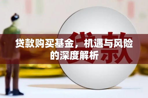 沙坡头贷款购买基金，机遇与风险的深度解析