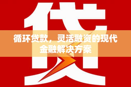 沙坡头循环贷款，灵活融资的现代金融解决方案