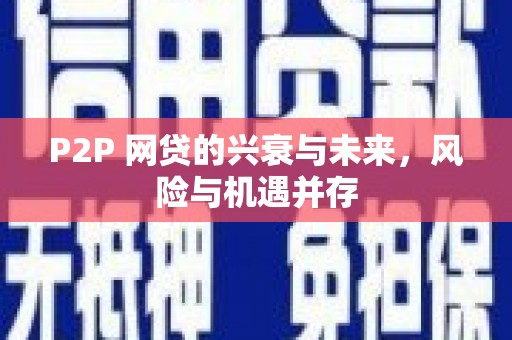 沙坡头P2P 网贷的兴衰与未来，风险与机遇并存