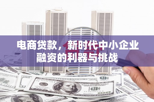 沙坡头电商贷款，新时代中小企业融资的利器与挑战