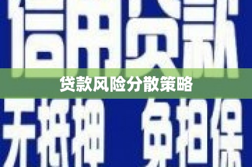 沙坡头贷款风险分散策略