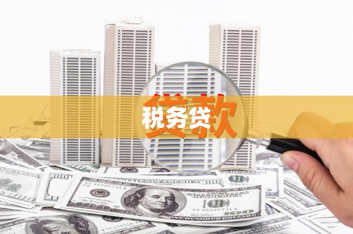 沙坡头税务贷